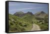 Newlands Valley, Lake District, Cumbria, England, United Kingdom-James Emmerson-Framed Stretched Canvas