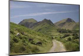 Newlands Valley, Lake District, Cumbria, England, United Kingdom-James Emmerson-Mounted Photographic Print