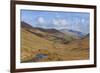 Newlands Valley with Skiddaw over Keswick in the Distance-James-Framed Photographic Print