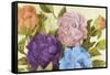 Newly Blossomed Peonies-Lanie Loreth-Framed Stretched Canvas