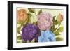 Newly Blossomed Peonies-Lanie Loreth-Framed Art Print