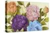 Newly Blossomed Peonies-Lanie Loreth-Stretched Canvas