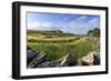 Newly Mown Grass in Field with Dry Stone Walls, Copse of Trees and House, Spring Morning Sun-Eleanor Scriven-Framed Photographic Print