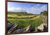 Newly Mown Grass in Field with Dry Stone Walls, Copse of Trees and House, Spring Morning Sun-Eleanor Scriven-Framed Photographic Print