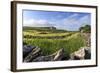 Newly Mown Grass in Field with Dry Stone Walls, Copse of Trees and House, Spring Morning Sun-Eleanor Scriven-Framed Photographic Print