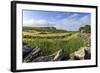 Newly Mown Grass in Field with Dry Stone Walls, Copse of Trees and House, Spring Morning Sun-Eleanor Scriven-Framed Photographic Print