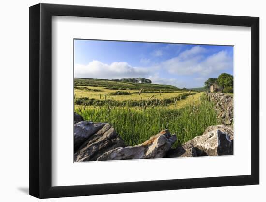 Newly Mown Grass in Field with Dry Stone Walls, Copse of Trees and House, Spring Morning Sun-Eleanor Scriven-Framed Photographic Print