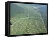 Newly Planted Oil Palm, Plantations, Lowland Dipterocarp Rainforest, Sabah, Borneo, Malaysia-James Aldred-Framed Stretched Canvas