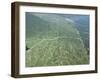 Newly Planted Oil Palm, Plantations, Lowland Dipterocarp Rainforest, Sabah, Borneo, Malaysia-James Aldred-Framed Photographic Print