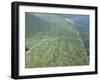 Newly Planted Oil Palm, Plantations, Lowland Dipterocarp Rainforest, Sabah, Borneo, Malaysia-James Aldred-Framed Photographic Print