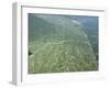 Newly Planted Oil Palm, Plantations, Lowland Dipterocarp Rainforest, Sabah, Borneo, Malaysia-James Aldred-Framed Photographic Print