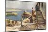 Newlyn, Cornwall C1910-EW Haslehust-Mounted Photographic Print