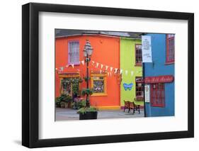 Newman's Mall, Kinsale Town, County Cork, Munster, Republic of Ireland, Europe-Richard-Framed Photographic Print