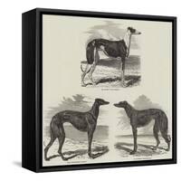 Newmarket Coursing Meeting-Harrison William Weir-Framed Stretched Canvas