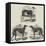 Newmarket Coursing Meeting-Harrison William Weir-Framed Stretched Canvas