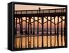 Newport Beach Pier at Sunset, Newport Beach, Orange County, California, United States of America, N-Richard Cummins-Framed Stretched Canvas