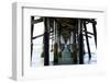 Newport Beach Pier-John Gusky-Framed Photographic Print