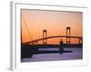 Newport Bridge and Harbor at Sunset, Newport, Rhode Island, USA-Fraser Hall-Framed Photographic Print