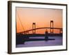 Newport Bridge and Harbor at Sunset, Newport, Rhode Island, USA-Fraser Hall-Framed Photographic Print