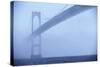 Newport Bridge in Fog-Onne van der Wal-Stretched Canvas