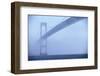 Newport Bridge in Fog-Onne van der Wal-Framed Photographic Print