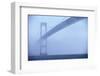 Newport Bridge in Fog-Onne van der Wal-Framed Photographic Print