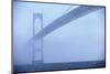 Newport Bridge in Fog-Onne van der Wal-Mounted Photographic Print