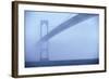Newport Bridge in Fog-Onne van der Wal-Framed Photographic Print