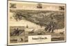 Newport News, Virginia - Panoramic Map-Lantern Press-Mounted Art Print