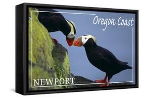 Newport, Oregon - Tufted Puffins - Lantern Press-Lantern Press-Framed Stretched Canvas