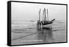 Newport, Oregon - US Lifeguard Drill on the Beach-Lantern Press-Framed Stretched Canvas