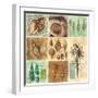 Newport Patchwork II-null-Framed Art Print