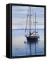 Newport Reflections-Bruce Dumas-Framed Stretched Canvas