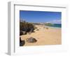 Newquay Beach in Summer, Cornwall, England, United Kingdom, Europe-Neale Clark-Framed Photographic Print