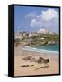 Newquay Beach in Summer, Cornwall, England, United Kingdom, Europe-Neale Clark-Framed Stretched Canvas