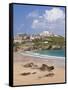 Newquay Beach in Summer, Cornwall, England, United Kingdom, Europe-Neale Clark-Framed Stretched Canvas