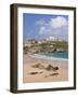 Newquay Beach in Summer, Cornwall, England, United Kingdom, Europe-Neale Clark-Framed Photographic Print