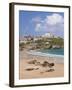 Newquay Beach in Summer, Cornwall, England, United Kingdom, Europe-Neale Clark-Framed Photographic Print
