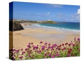 Newquay Beach with Valerian in Foreground, Cornwall, England, United Kingdom, Europe-Neale Clark-Stretched Canvas