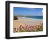 Newquay Beach with Valerian in Foreground, Cornwall, England, United Kingdom, Europe-Neale Clark-Framed Photographic Print