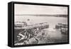 Newquay Harbour, Newquay, Cornwall, 1908-null-Framed Stretched Canvas