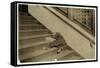 Newsboy Asleep with His Papers in Jersey City, New Jersey, 1912-Lewis Wickes Hine-Framed Stretched Canvas