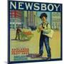 Newsboy Orange Label - Redlands, CA-Lantern Press-Mounted Art Print