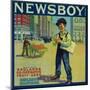 Newsboy Orange Label - Redlands, CA-Lantern Press-Mounted Art Print