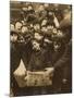 Newsies at the Paper Office, Bank Alley, Syracuse, New York, c.1910-Lewis Wickes Hine-Mounted Photo