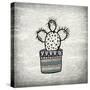 Newspaper Cactus 1-Kimberly Allen-Stretched Canvas