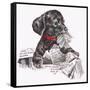 Newspaper Pup - 13A-Peggy Harris-Framed Stretched Canvas