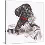 Newspaper Pup - 13A-Peggy Harris-Stretched Canvas