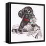 Newspaper Pup - 13A-Peggy Harris-Framed Stretched Canvas