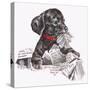 Newspaper Pup - 13A-Peggy Harris-Stretched Canvas